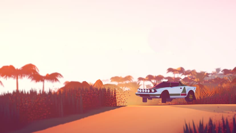 art of rally