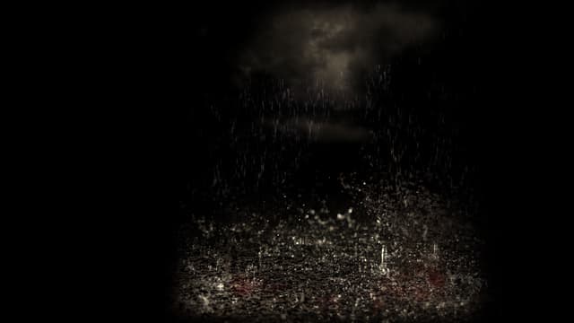 Heavy Rain™