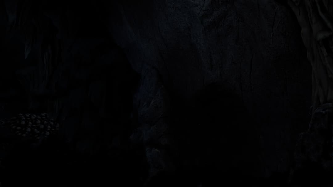 The Forest