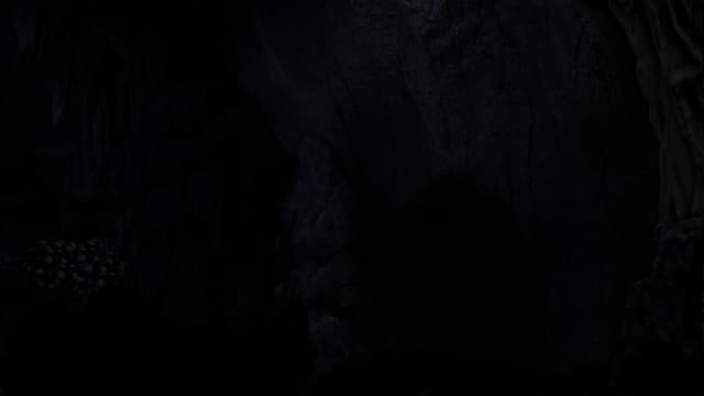 The Forest