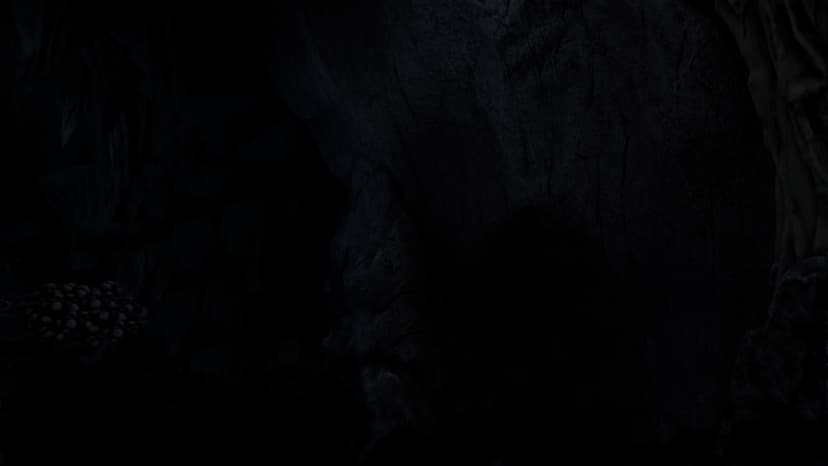 The Forest