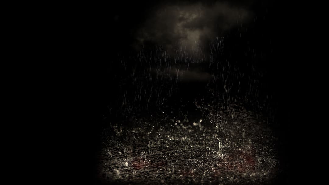 Heavy Rain™