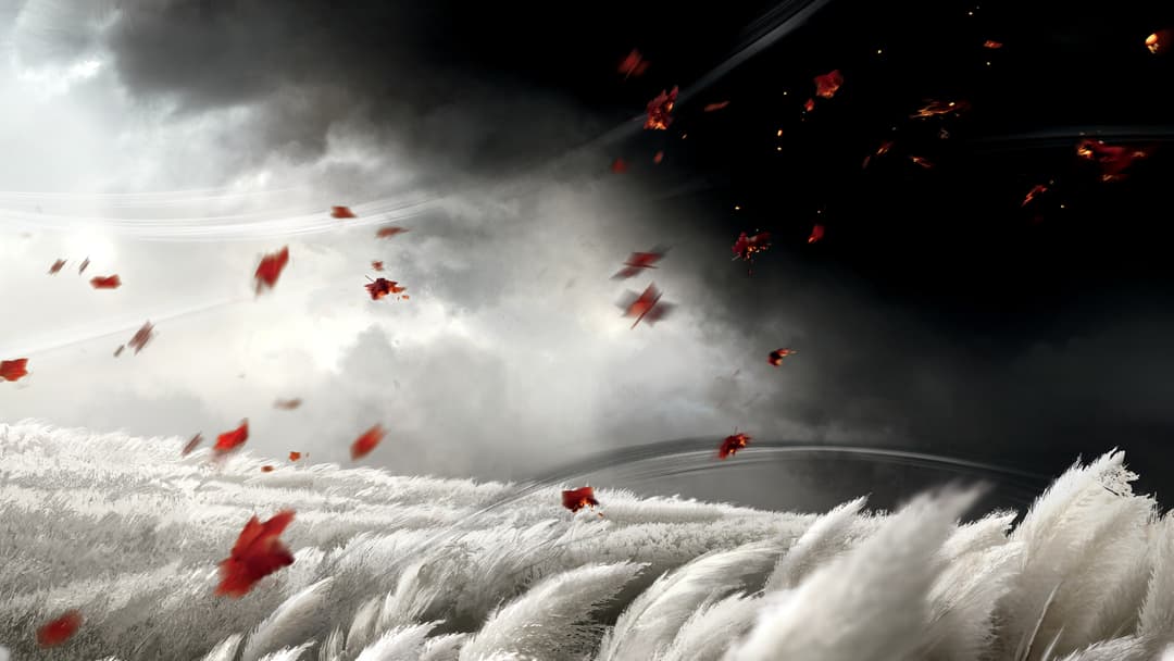 Ghost of Tsushima YÖNETMENİN SÜRÜMÜ